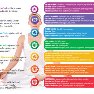 Palau 1 Dollar 2008 Silver Antique finish Tiffany Art IV Mannerism