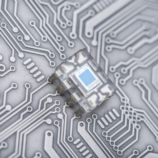 Palau 2 Dollars 2010 Silver Proof World of Insects GRASSHOPPER